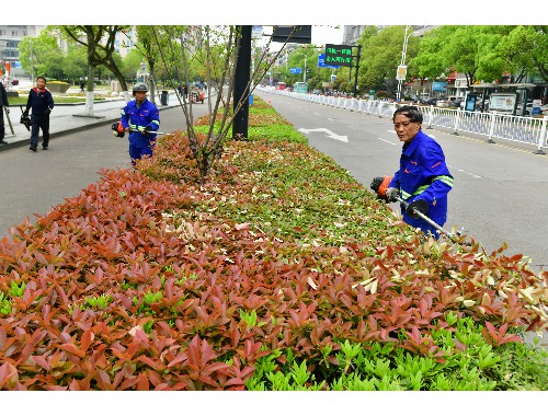 博鱼boyu体育官方平台：偃师绿化和市容管理局领导班子