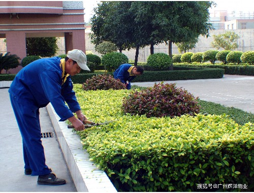 博鱼boyu体育官方平台：四平城市绿化树木图片